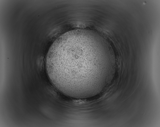 X0000086980511200705071419