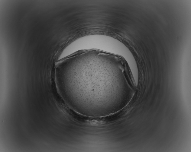 X0000086980512200705071419