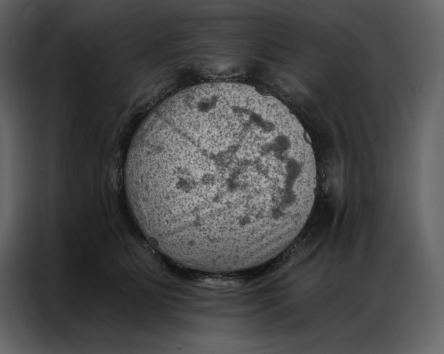 X0000086980515200705071419