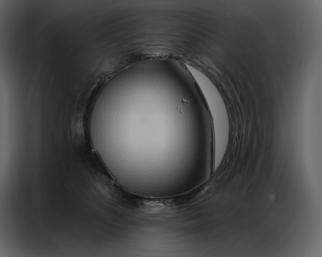 X0000086980516200705071419