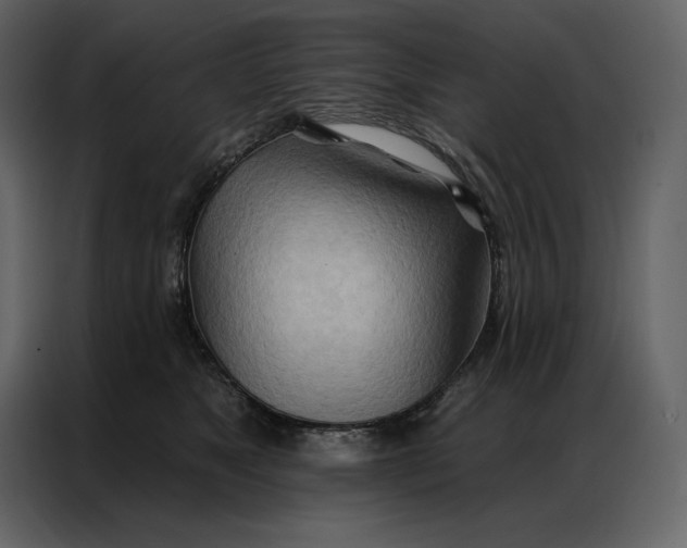 X0000086980517200705071419