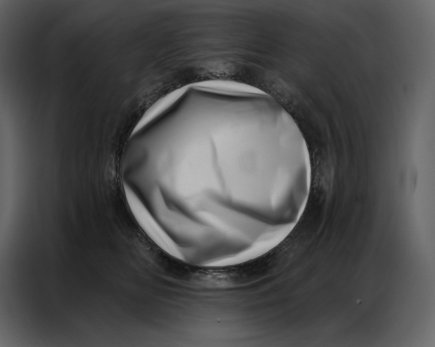 X0000086980518200705071419