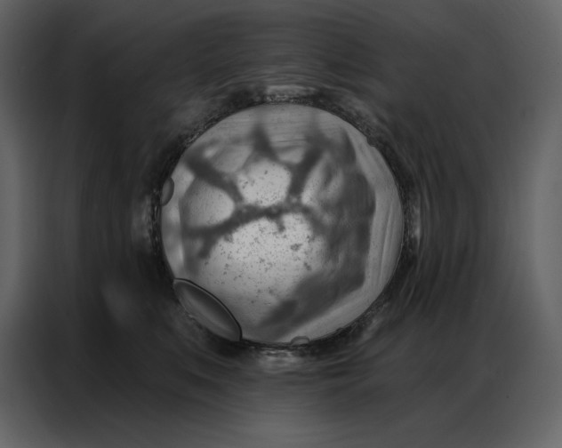 X0000086980519200705071419