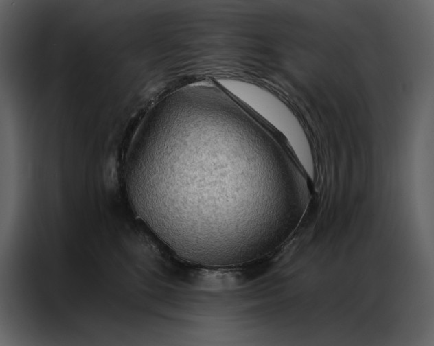 X0000086980520200705071419