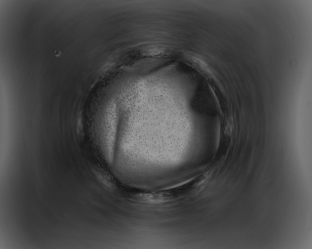 X0000086980524200705071419