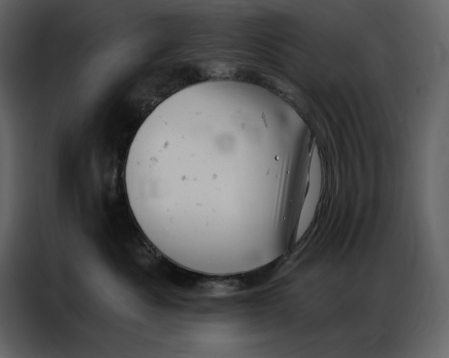 X0000086980525200705071419