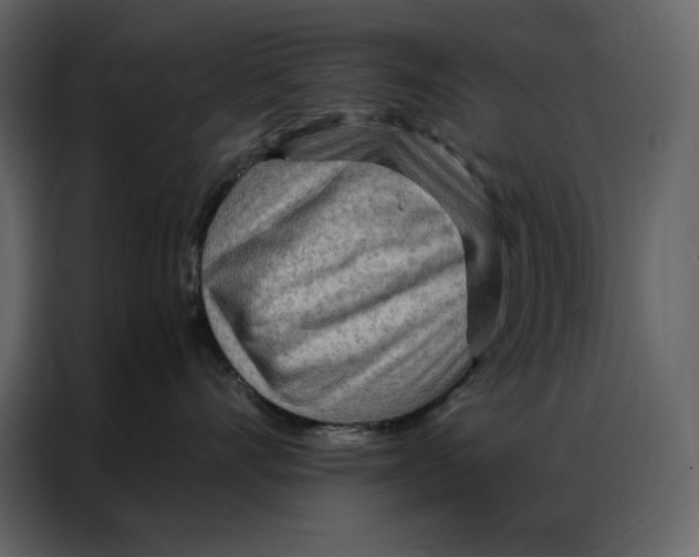 X0000086980528200705071419