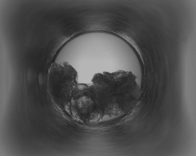 X0000086980529200705071418