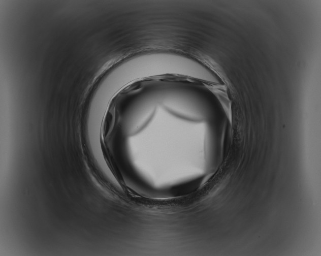 X0000086980530200705071418