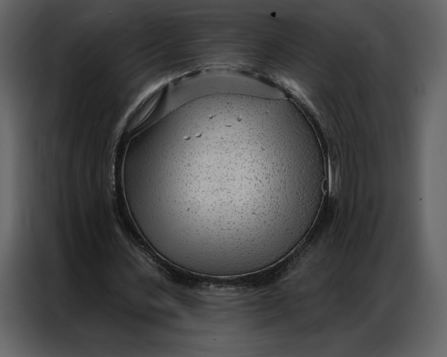 X0000086980531200705071418