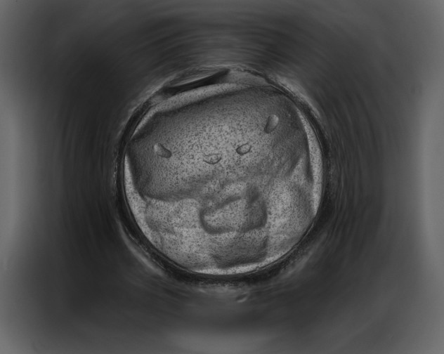 X0000086980533200705071418