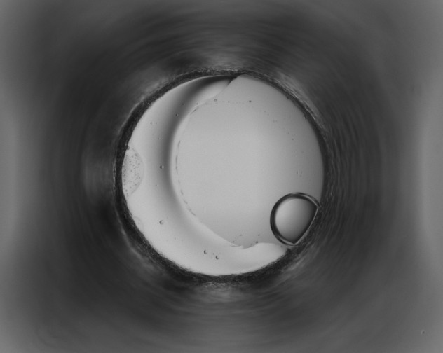 X0000086980534200705071418