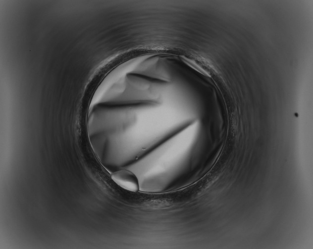 X0000086980536200705071418