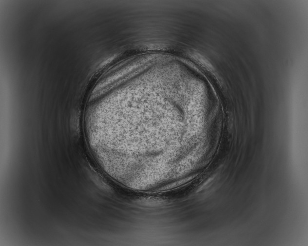 X0000086980537200705071418