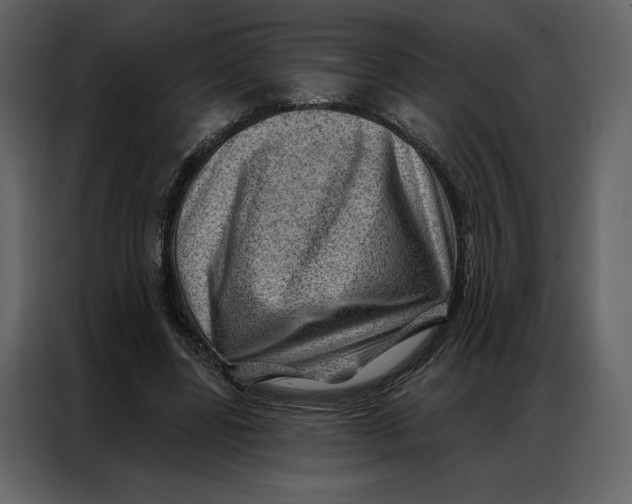 X0000086980539200705071419