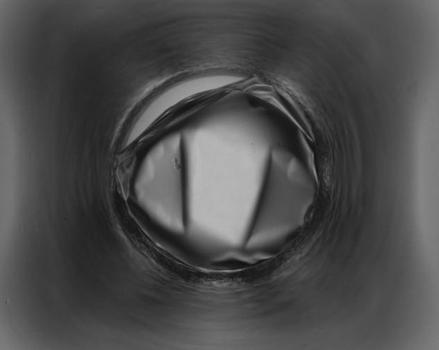 X0000086980540200705071419