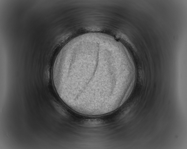 X0000086980541200705071419