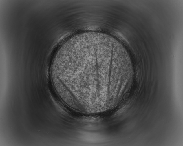 X0000086980542200705071419