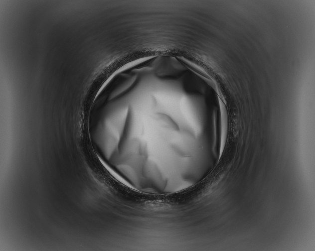 X0000086980544200705071419