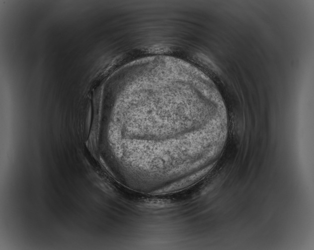 X0000086980549200705071419