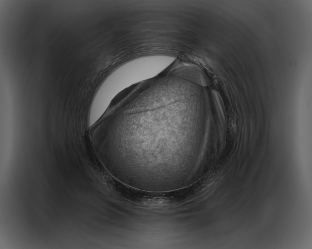 X0000086980551200705071419