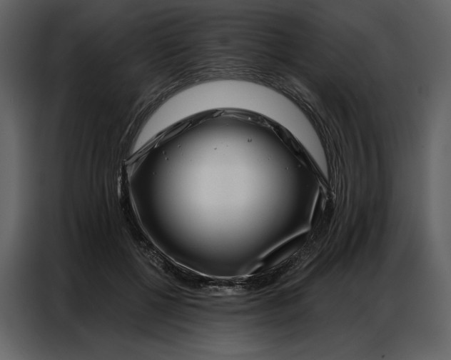 X0000086980552200705071419