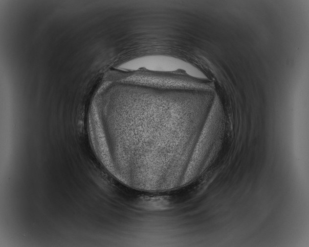 X0000086980553200705071419