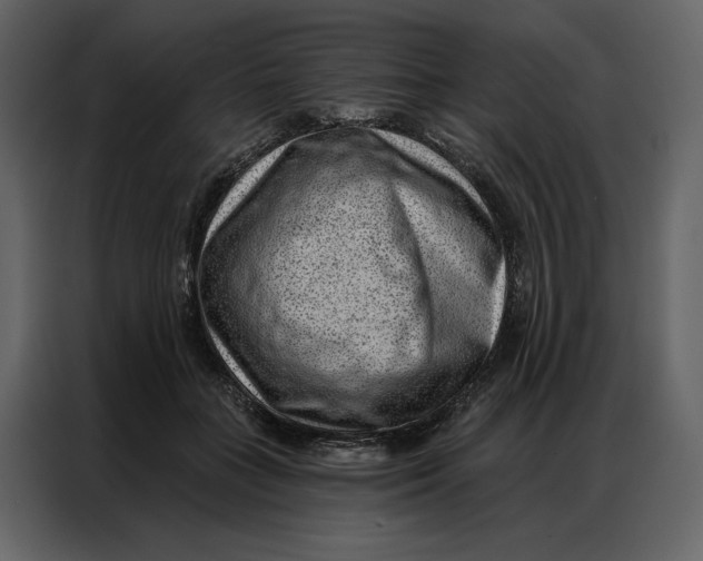 X0000086980555200705071419