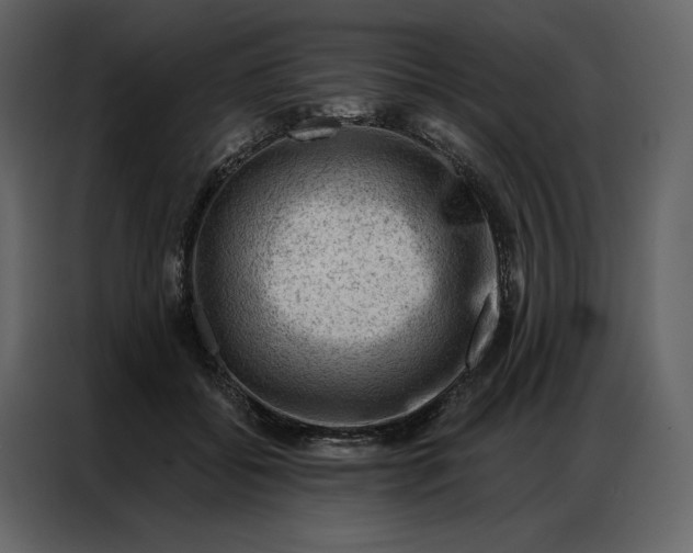 X0000086980556200705071419