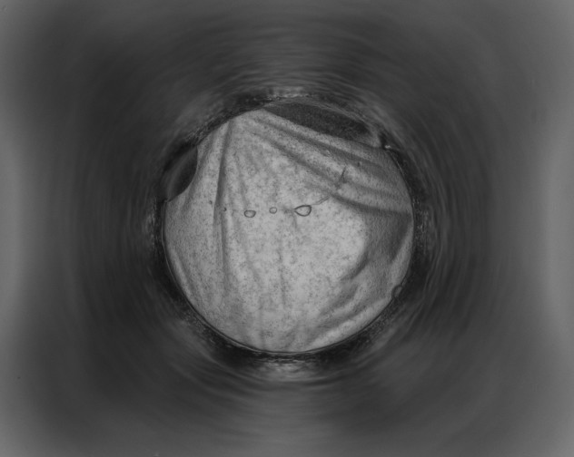 X0000086980557200705071419