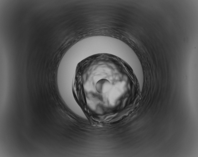 X0000086980558200705071419