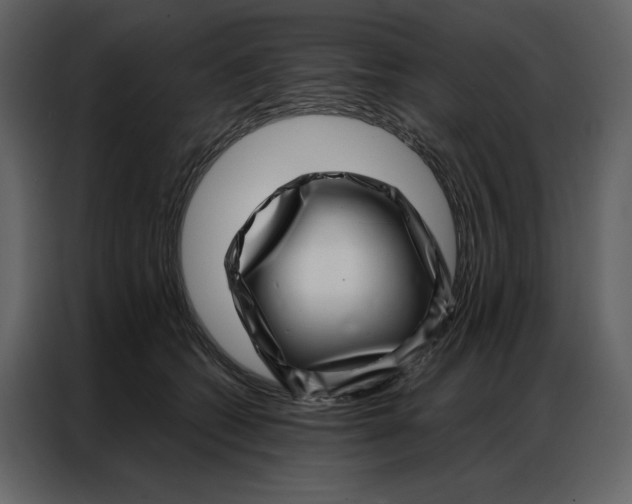 X0000086980562200705071419