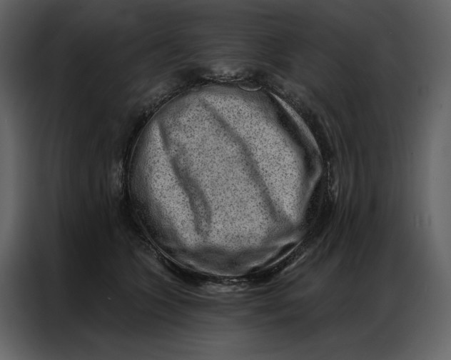 X0000086980563200705071419