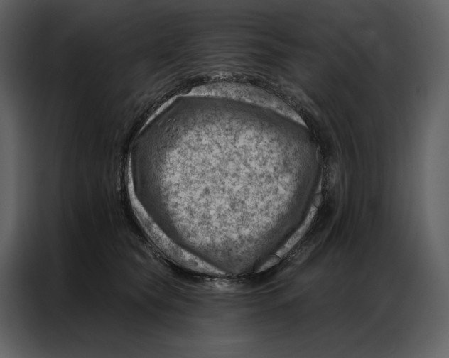 X0000086980565200705071419