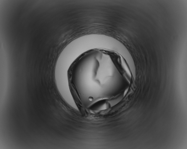 X0000086980568200705071419