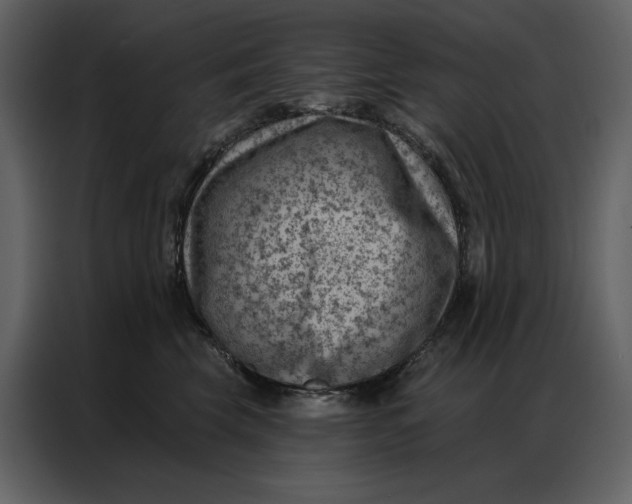 X0000086980569200705071419