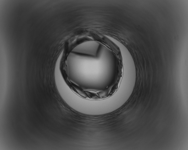 X0000086980570200705071419