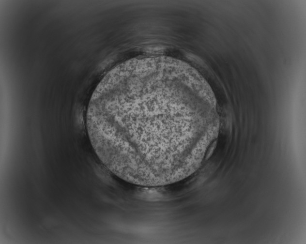 X0000086980573200705071419