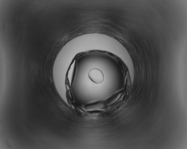 X0000086980574200705071419