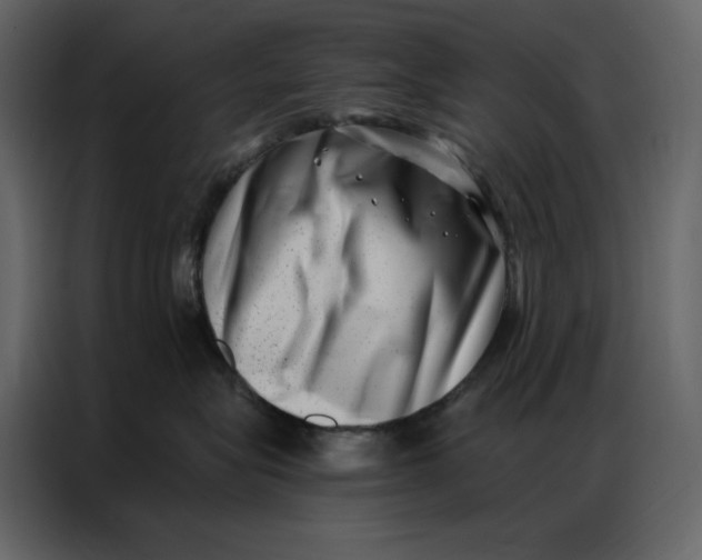 X0000086980575200705071419