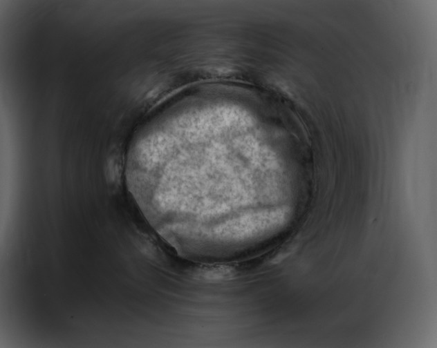 X0000086980576200705071419