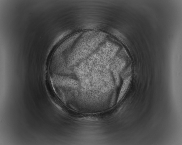 X0000086980578200705071418