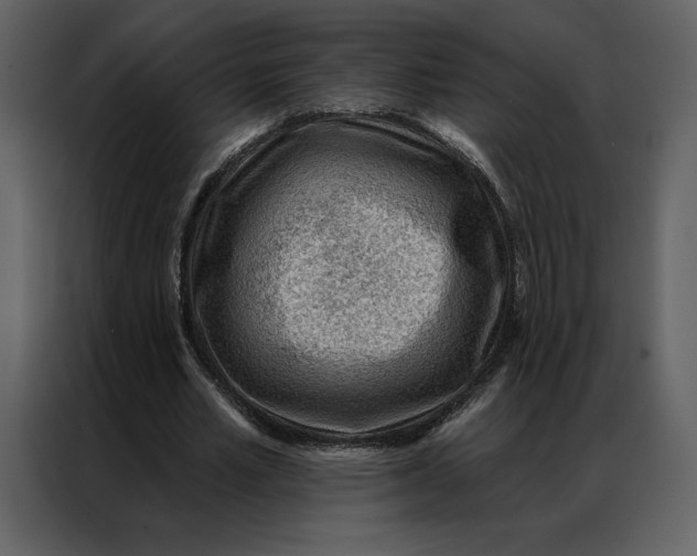 X0000086980581200705071418