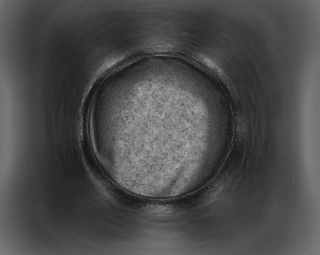 X0000086980582200705071418