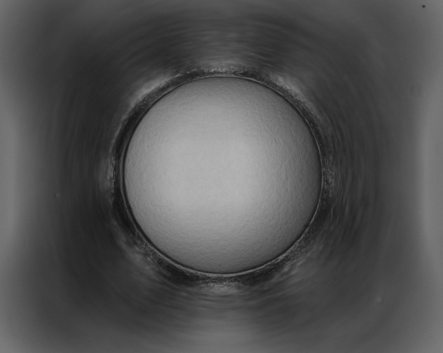 X0000086980583200705071418