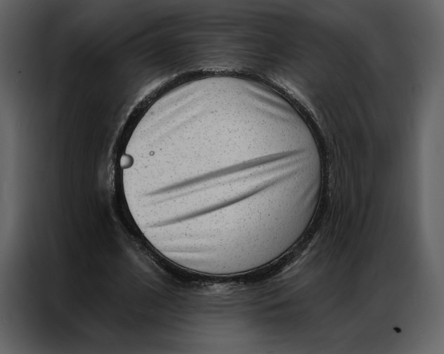 X0000086980584200705071418