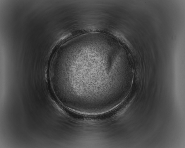 X0000086980585200705071418