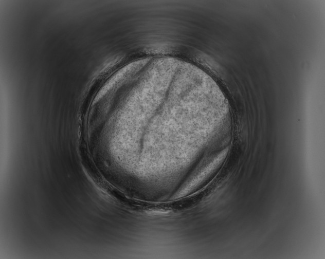 X0000086980586200705071418