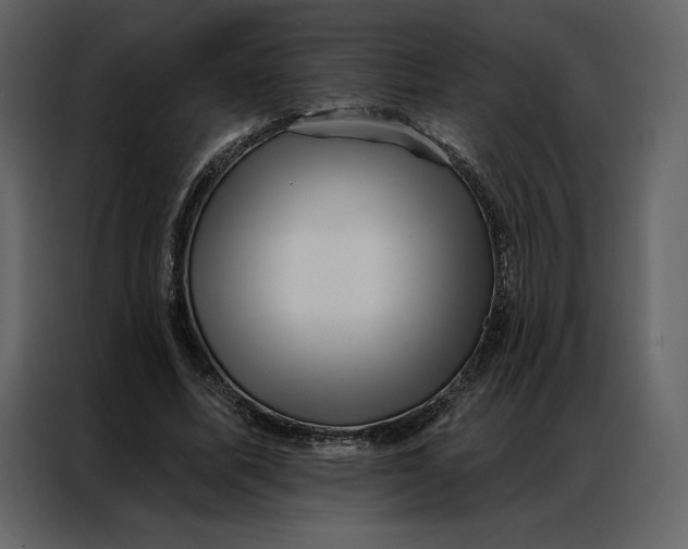 X0000086980587200705071418