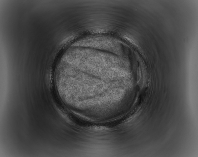 X0000086980590200705071418